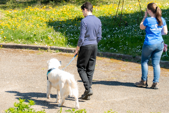 un homme balade un chien avec une bénévole handi chiens